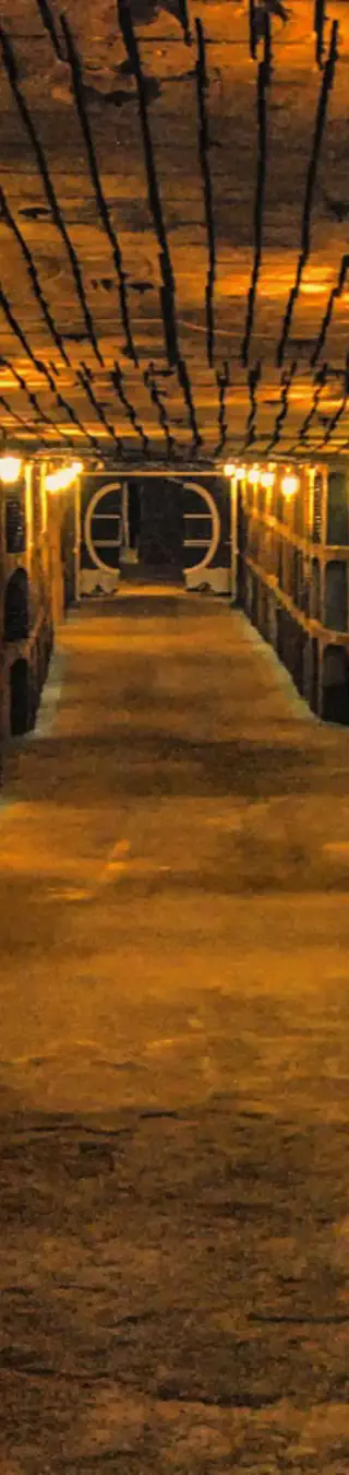 Geniesse guten Wein in Milestii Mici